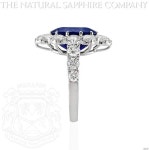 9.12ct Natural Blue Sapphire in 18k White Gold Lady Di style setting with 3.95cts of diamonds (J4667) | Amazon.com(이미지 포함)