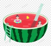 여름 수박 수영장 - 2025 | 수박 배경, 수박, 수영장
