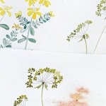 Pin page Pin by Meg Shim on calligraphy 수채화 in 2025