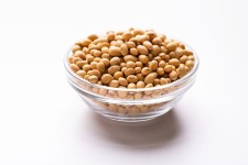 Soybeans in a glass plate on white b