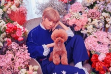 чσu αnd í díffєrєnt вut tσgєthєr txt #CROWN #CatAndDog #캣앤독 #TOMORROW_X_TOGETHER  #STAR #Beomgyu #TAEHYUN... 