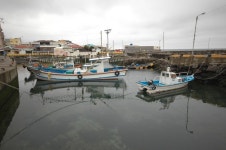신사수동 작은 마을 항구 | 바다