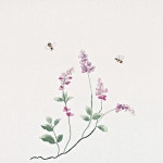 야생화자수에 대한 이미지 검색결과