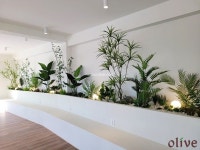 올리브 OLIVE 올리브 OLIVE - 2024 | 조명 인테리어, 조경, 호텔 인테리어