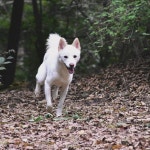 Run! 오운완! 🏃🏃♀️🏃♂️