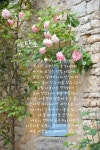 poet by 세탁소 - 2020 | 세탁소
