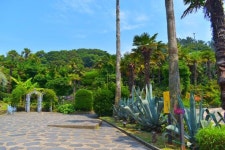 통영 거제도여행 통영케이블카 외도 보타니아 가볼만한곳 : 네이버 블로그 | 인공 폭포, 유람선