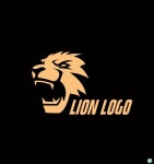 마루한 특공무술에 있는 핀