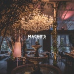 machos.sachunki 플랜테리어 planterior