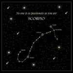Pin by ;> on 마이몽 in 2022 | Zodiac constellations, Constellations, Scorpio