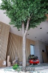 Artificial Zelkova Tree - 느티나무 - 2020