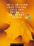단풍잎처럼 예쁜 하루 되시길