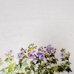 천아트 그리기아뜰리에연두빛 공방 - 2021 | 그리기
