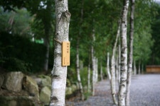 #나무사인 #푯말 #심소원 #이름사인 #signage #namesign #nametag #tree #botanical signage design