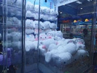 Pin page All Pins에 있는 𝚎𝚍𝚛𝚎𝚢𝚊𝚗.님의 핀