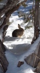 Winter에 관한 101개의 최상의 Pinterest 이미지 | Paisajes, Winter wonderland 및 아름다운 장소 Winter