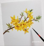 Forsythia Illustration 가을에 그리는 봄봄🦋... All rights reserved. Forsythia Illustration - 가을에 그리는 봄봄