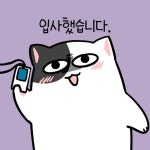 마마캣_SNS_마마냥입사