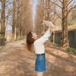 #뿅카 빌려서 여행 떠나고파 😢💙 . . . . ( 여러분 렌트는 정말 뿅카가 짱인것 같아요!! 가격도 저렴하고 매번 친절하고 ㅠㅠ 차도 깨끗하고 ..... 