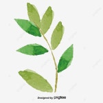 자유형 수채화 일러스트 나뭇잎이 장식, 손으로 그린, 수채화, 이파리 PNG 일러스트 및 PSD 이미지 무료 다운로드 - Pngtree
