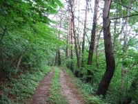 자연치유마을 대티골 게시판 > 대티골365 > <경북일보>영양군 대티골 자연치유생태마을 ‘인기짱’ | 게시판