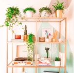 Pin de 이성순 em 선반 | Decoração
