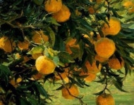 Pin by Studio jb on 유화 아크릴화 중급 | Landscape paintings, California art, Still life art