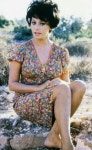 박장호님의 Sophia loren | 얼굴, 사진, 여우