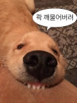 쾈