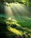 Naturaleza에 관한 29개의 최상의 Pinterest 이미지 | 숲, 관목 및 아름다운 장소 Naturaleza