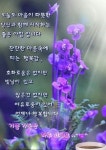 기쁨 가득한 하루 되세요.