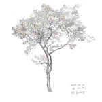 시월의마지막밤 #모바일드로잉 #노트7 #artcanvas 시월의마지막밤 #모바일드로잉 #노트7 #artcanvas | 드로잉, 모바일