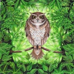 Pin page Pin de 석미선 en 색연필 | Pinturas, Galerías, Encantado