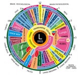 Iridology에 관한 13개의 최상의 Pinterest 이미지 | 대체의학, 자연 의학 및 침술 Iridology