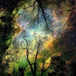 Night Skies | 풍경 사진, 자연