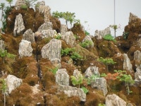 고양대로, #Goyang-daero, South #Korea | Places to visit, Natural landmarks, Travel