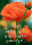 Pin page 권오형에 있는 오형 권님의 핀 | 그림자 사진, 좋은 아침 인사, 아름다운 꽃 사진