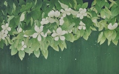 HANA SEO painting & illustration 모던민화 | 칠하기