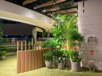 플라웍스앤코 flaworksnco 플라웍스앤코 flaworksnco in 2024