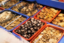수산시장에 진열되어 있는 신선한 어패류  Yanggiri, 사진, 수산시장, 시장, 진열, 신선한, 어패류, 조개, 생물, 해산물, 수산물, 오브젝트... 