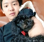 Pin by Cakezii Kiki on Chanyeol Park Chan Yeol (박찬열)... Kiki on Chanyeol​ Park Chan Yeol (박찬열) | Foto kekasih, Artis, Lagu
