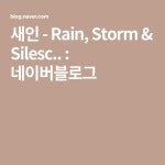 새인 - Rain, Storm & Silesc.. : 네이버블로그 - 2020 | 여행, 음악, 블로그