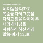 네 마음을 다하고 목숨을 다하고 뜻을 다하고 힘을 다하여 주 너의 하나님을 사랑하라 하신 성경 말씀-마가 12:30-성경 카드와 함께