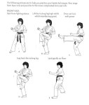 Front kick | 무술