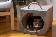 Mioou: Modern Cat Furniture Designed by an Architect Pin on 팻용품