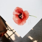 다시🎨 #작약 #그리기 #꽃 #그림 #꽃그림 #수채화 #감성수채화 #수채일러스트 #수채화일러스트 #물맛 #힐링 #취미 #일러스트 #illust... 