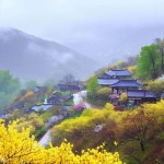 산골 마을
