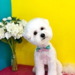 폭풍성장🤦🏻♂️ 생후 8개월  으른새벽이 | Instagram posts, Instagram 폭풍성장🤦🏻‍♂️ 생후 8개월  으른새벽이... 