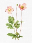주식회사지상화 | Pin on 대상화