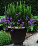 Gardening Leave And Holiday Pay per Gardening Design For Beginners | 조경